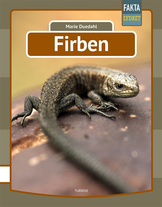 Cover for Marie Duedahl · Fakta Lydret: Firben (Hardcover bog) [1. udgave] (2021)