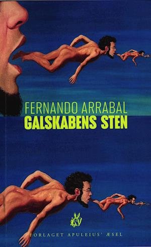 Cover for Fernando Arrabal · Galskabens sten (Sewn Spine Book) [1e uitgave] (2021)