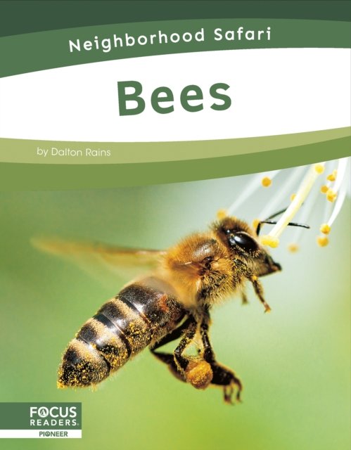 Cover for Dalton Rains · Neighborhood Safari: Bees (Taschenbuch) (2024)