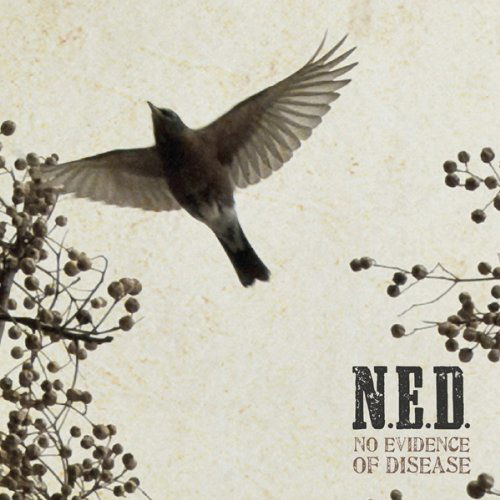 No Evidence Of Disease - N.e.d. - Música - MOTEMA - 0181212000290 - 27 de outubro de 2017