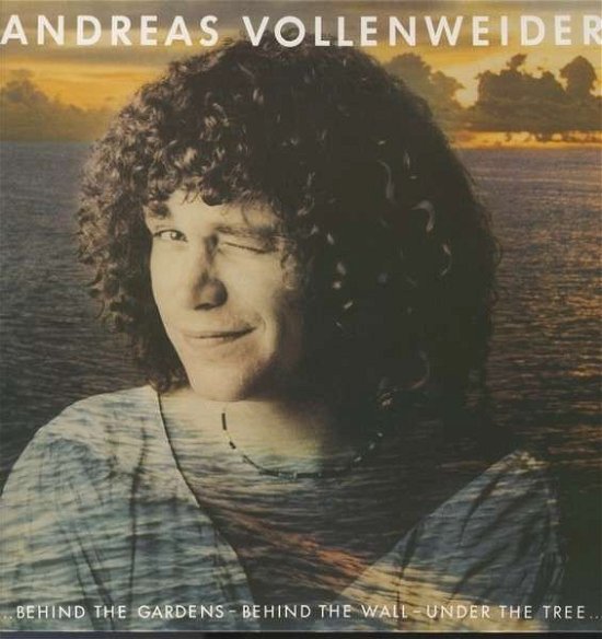 Cover for Andreas Vollenweider · Behind the Gardens Behind the Wall-under the Tree (LP) [Remastered edition] (2014)