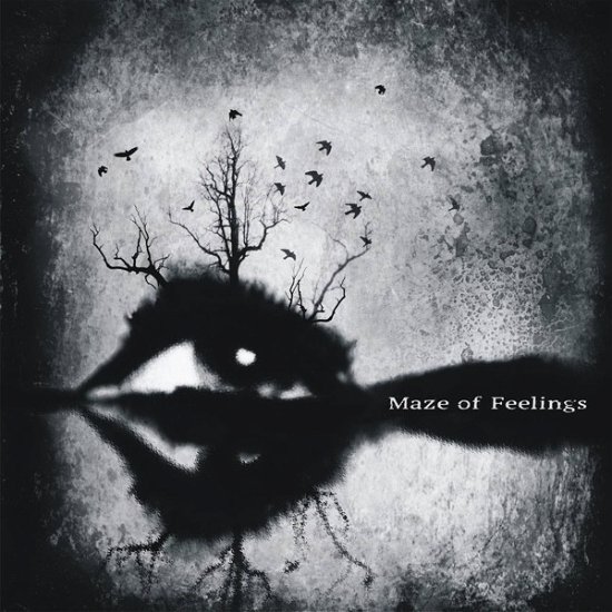Maze Of Feelings - Maze Of Feelings - Musikk - SOLITUDE PROD. - 4627080611290 - 23. februar 2018