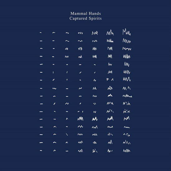 Cover for Mammal Hands · Captured Spirits (LP) (2020)