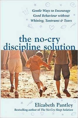 Cover for Elizabeth Pantley · The No-Cry Discipline Solution. Gentle Ways to Encourage Good Behaviour without Whining, Tantrums and Tears (Paperback Bog) [Uk, Uk. edition] (2007)