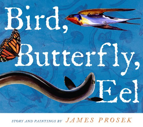 Cover for James Prosek · Bird, Butterfly, Eel (Hardcover Book) (2009)