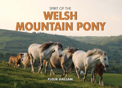 Cover for Fleur Hallam · Spirit of the Welsh Mountain Pony - Spirit of Britain (Innbunden bok) [UK edition] (2010)