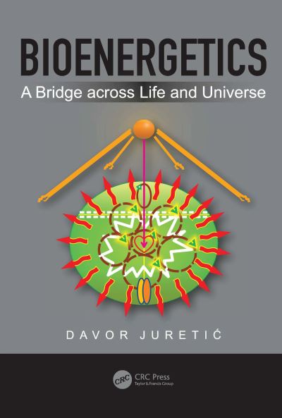 Cover for Davor Juretic · Bioenergetics: A Bridge across Life and Universe (Paperback Book) (2024)