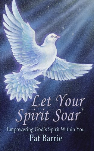 Cover for Pat Barrie · Let Your Spirit Soar: Empowering God's Spirit Within You (Paperback Book) (2002)
