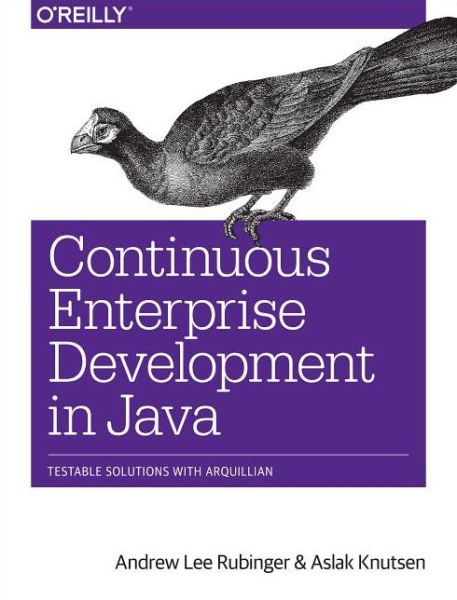 Continuous Enterprise Development in Java - Andrew Lee Rubinger - Books - O'Reilly Media - 9781449328290 - April 29, 2014