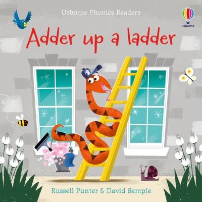 Adder up a ladder - Phonics Readers - Russell Punter - Boeken - Usborne Publishing Ltd - 9781474982290 - 7 januari 2021