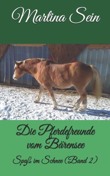 Cover for Martina Sein · Die Pferdefreunde vom Barensee (Paperback Book) (2017)