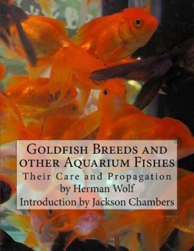 goldfish types for aquariums