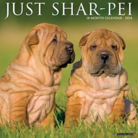 Cover for Willow Creek Press · Just Shar-Peis 2024 12 X 12 Wall Calendar (Kalender) (2023)