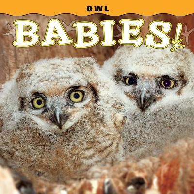 Cover for Steph Lehmann · Owl Babies! (Board book) (2018)