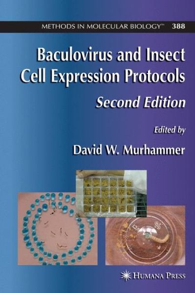 Baculovirus and Insect Cell Expression Protocols - Methods in Molecular Biology - David W Murhammer - Books - Humana Press Inc. - 9781617376290 - November 19, 2010