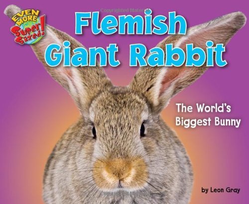 Flemish Giant Rabbit: the World's Biggest Bunny (Even More Supersized!) - Leon Gray - Books - Bearport Publishing - 9781617727290 - 2013