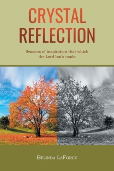 Crystal Reflection - Belinda Laforce - Böcker - Page Publishing, Inc. - 9781662462290 - 10 januari 2022