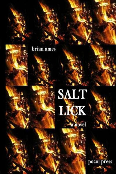 Salt Lick - Brian Ames - Books - Pocol Press - 9781929763290 - October 22, 2015