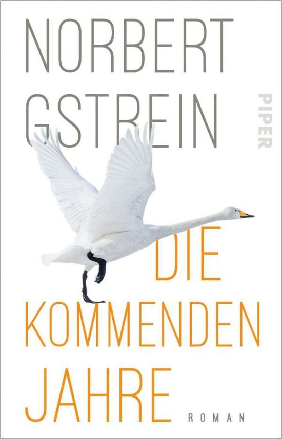 Cover for Norbert Gstrein · Die kommenden Jahre (Taschenbuch) (2021)
