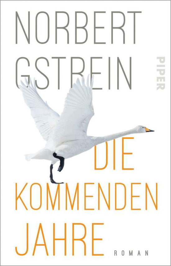 Cover for Norbert Gstrein · Die kommenden Jahre (Paperback Book) (2021)