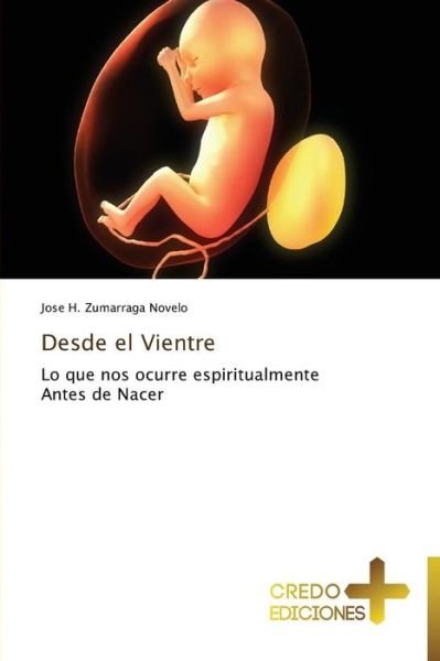 Cover for Jose H. Zumarraga Novelo · Desde El Vientre (Paperback Book) [Spanish edition] (2014)