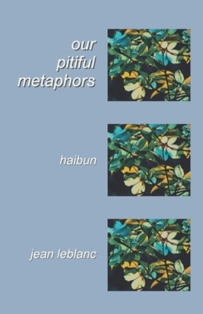 Cover for Amazon Digital Services LLC - KDP Print US · Our Pitiful Metaphors (Paperback Book) (2021)