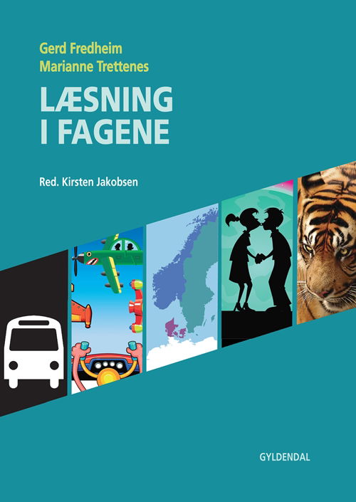 Cover for Gerd Fredheim; Marianne Trettenes · Læring i praksis; Læsning i fagene: Læsning i fagene (Taschenbuch) [1. Ausgabe] (2010)