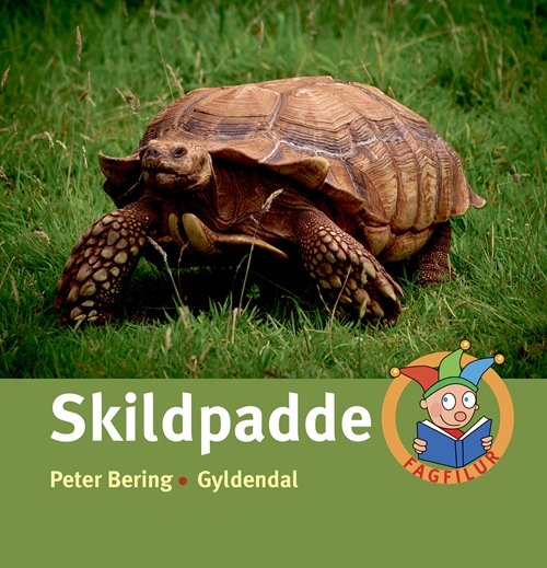 Cover for Peter Bering · Fagfilur: Skildpadde (Inbunden Bok) [1:a utgåva] (2018)