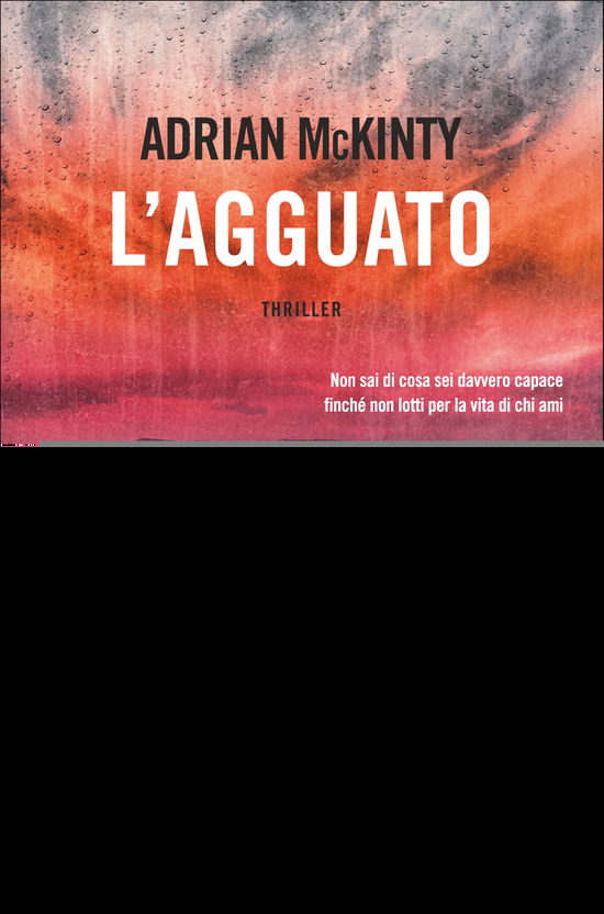 Cover for Adrian McKinty · L' Agguato (Book)