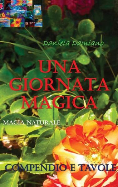 Cover for Daniela Damiano · Una giornata magica (Paperback Book) (2016)