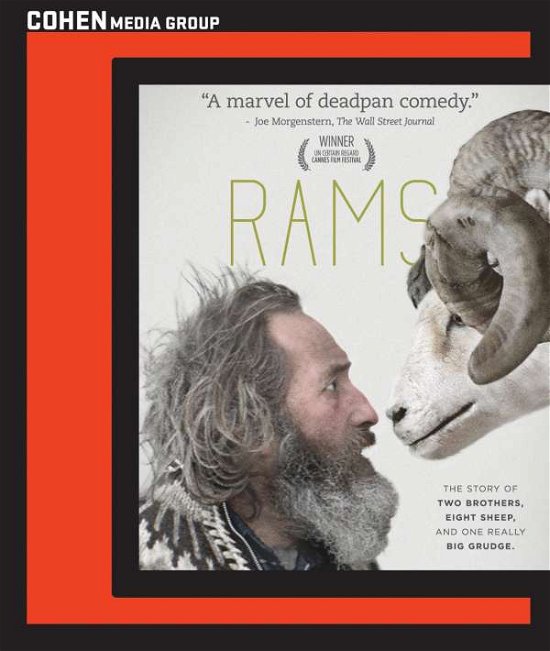 Cover for Rams (Blu-ray) [Widescreen edition] (2016)