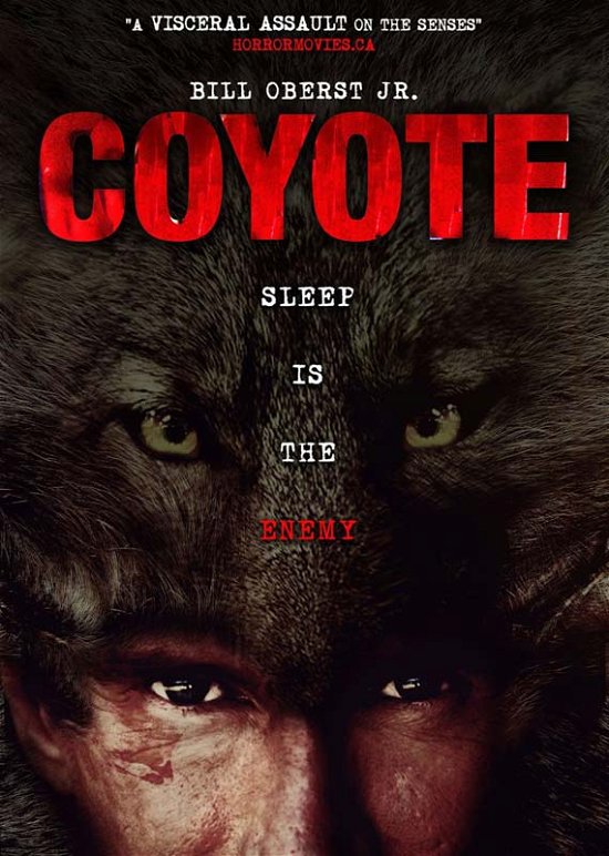Coyote - Feature Film - Filme - AMV11 (IMPORT) - 0760137664291 - 16. Dezember 2014