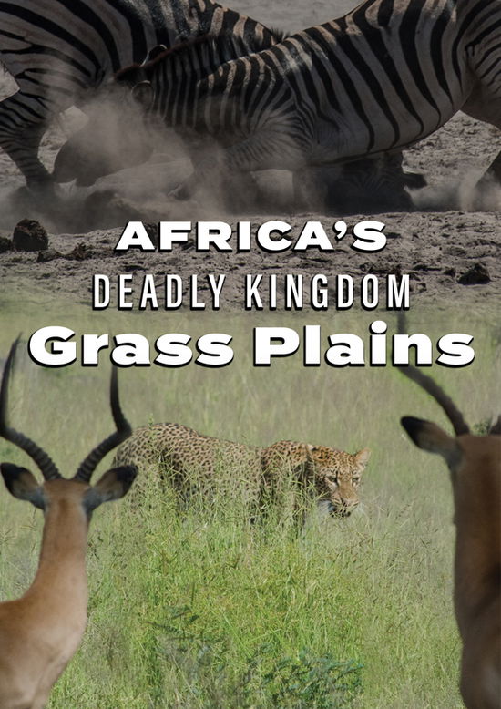 Africa's Deadly Kingdom: Grass Plains - Feature Film - Filmes - DREAMSCAPE - 0810071449291 - 23 de agosto de 2024