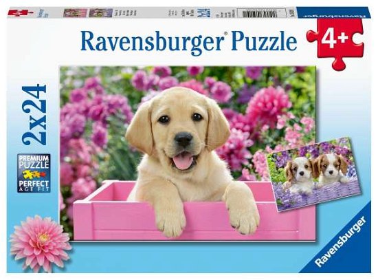 Puzzel Dierenfoto: 2x24 stukjes (50291) - Ravensburger - Merchandise - Ravensburger - 4005556050291 - 2020