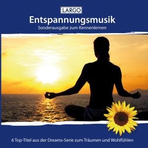 Cover for Largo · Entspannungsmusik-sonderausgabe Zum Kennenlernen (CD) (2011)
