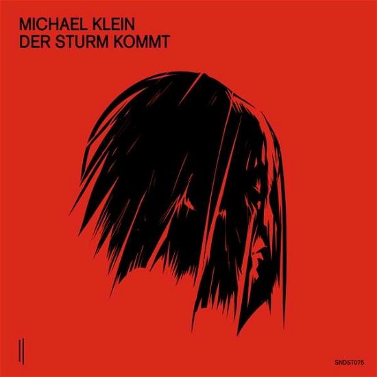 Cover for Michael Klein · Der Sturm Kommt (LP) (2020)