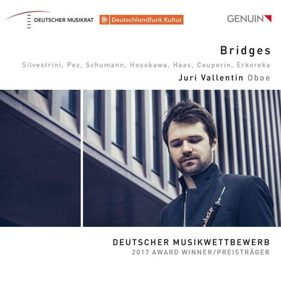 Cover for Juri Vallentin · Bridges (CD) (2018)