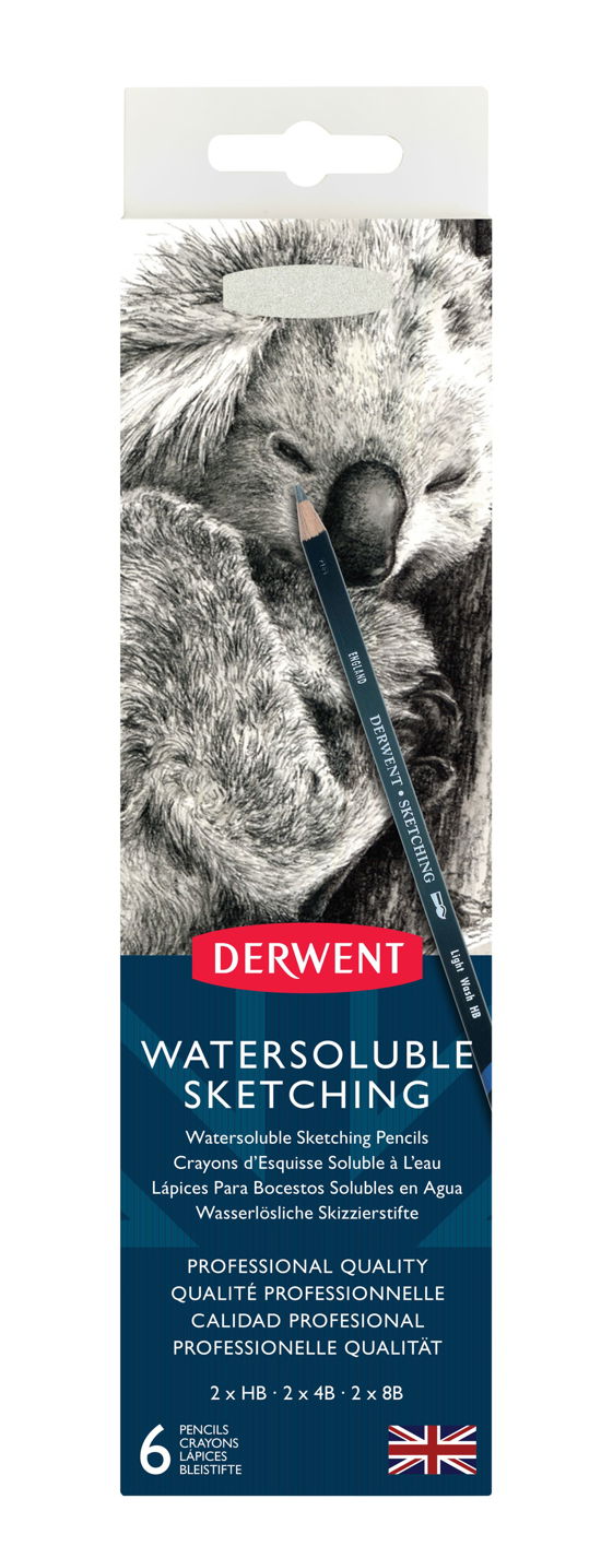 Cover for Derwent · Watersoluble Sketching Pencils Tin (6 Pcs) (601041) (Leksaker)