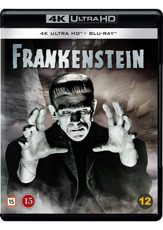 Frankenstein (1931) - Universal Monsters - Film - Universal - 7333018023291 - 10. oktober 2022