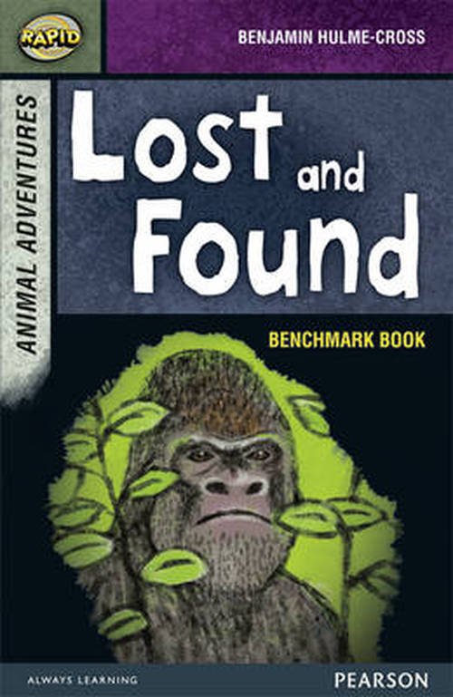 Cover for Dee Reid · Rapid Stage 7 Assessment book: Lost and Found - Rapid (Pocketbok) (2013)
