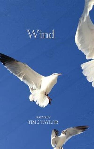 Cover for Tim 2 Taylor · Wind (Hardcover bog) (2016)