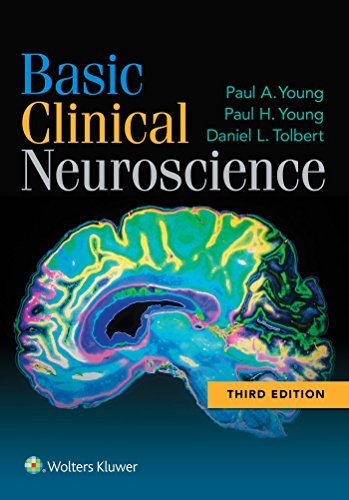 Cover for Young, Paul A., PhD · Basic Clinical Neuroscience (Paperback Book) (2015)