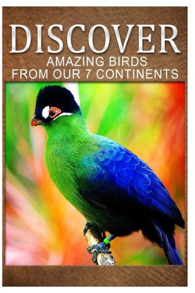 Cover for Discover Press · Amazing Birds from Our 7 Continents - Discover: Early Reader's Wildlife Photography Book (Paperback Book) (2014)