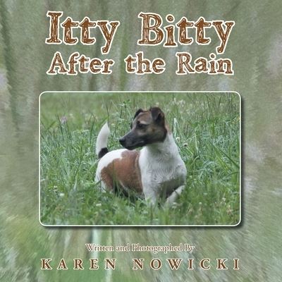 Cover for Karen Nowicki · Itty Bitty After the Rain (Paperback Book) (2016)