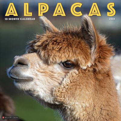 Willow Creek Press · Alpacas 2025 12 X 12 Wall Calendar (Calendar) (2024)