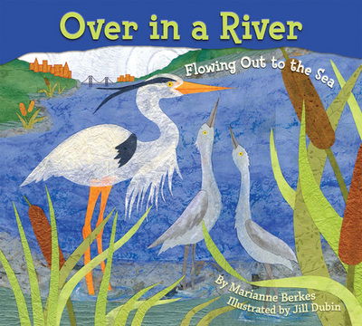 Once in a River: Flowing out to the Sea - Marianne Berkes - Kirjat - Dawn Publications,U.S. - 9781584693291 - sunnuntai 1. syyskuuta 2013