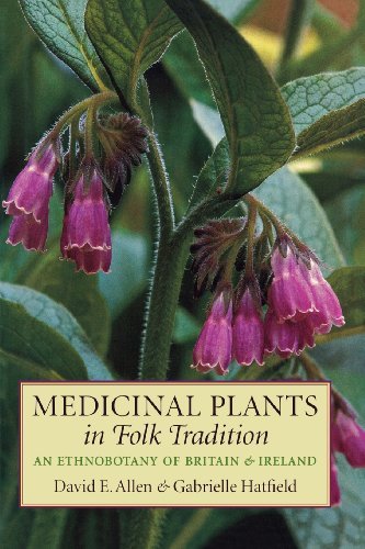 Cover for David Allen · Medicinal Plants in Folk Tradition: An Ethnobotany of Britain &amp; Ireland (Inbunden Bok) (2004)