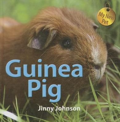 Cover for Jinny Johnson · Guinea Pig (My New Pet) (Hardcover bog) (2014)
