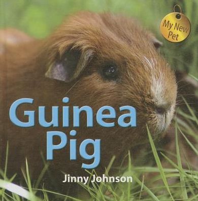 Cover for Jinny Johnson · Guinea Pig (My New Pet) (Innbunden bok) (2014)