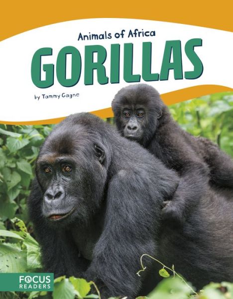 Cover for Tammy Gagne · Animals of Africa: Gorillas (Paperback Book) (2017)